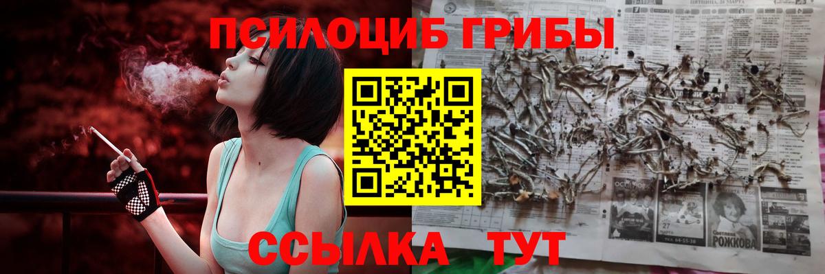 Псилоцибиновые грибы мицелий  где купить наркоту  Гулькевичи  Вход с VPN  Галлюциногенные грибы GOLDEN TEACHER 